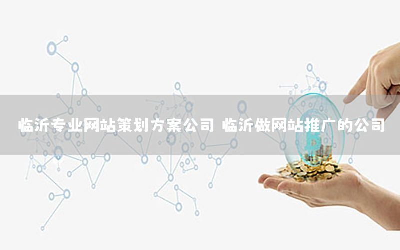 临沂专业网站策划方案公司，临沂做网站推广的公司