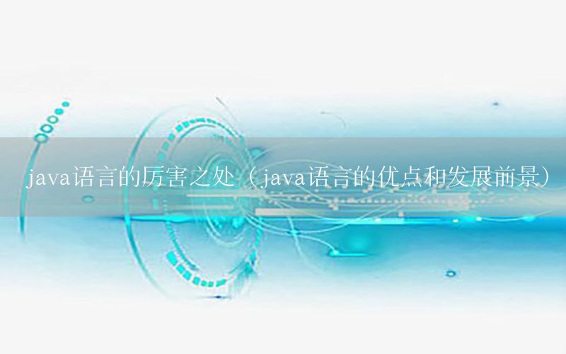 java语言的厉害之处（java语言的优点和发展前景）