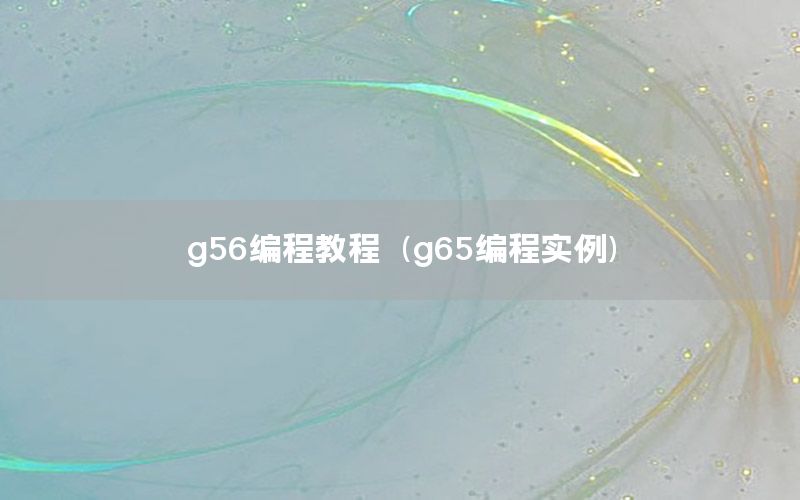 g56编程教程（g65编程实例）