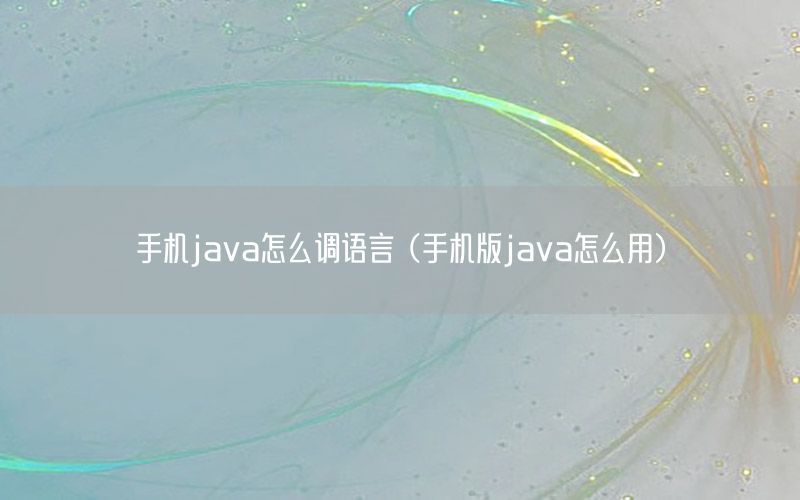 手机java怎么调语言（手机版java怎么用）