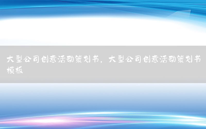 大型公司创意活动策划书，大型公司创意活动策划书模板