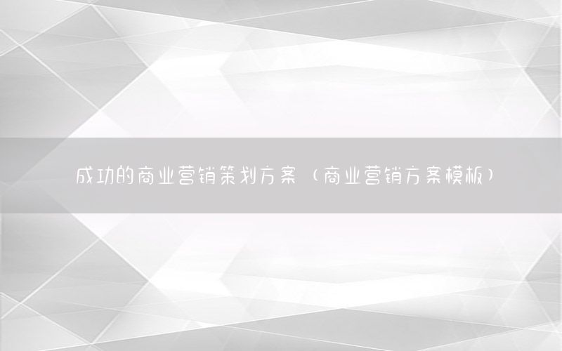 成功的商业营销策划方案（商业营销方案模板）