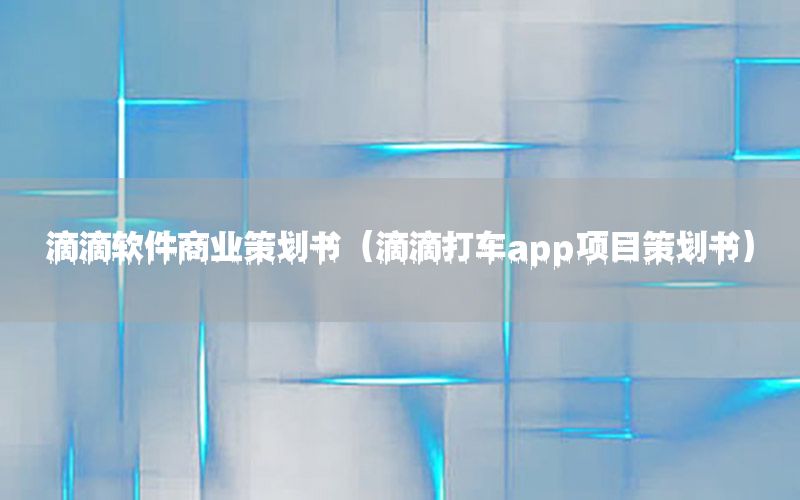 滴滴软件商业策划书（滴滴打车app项目策划书）